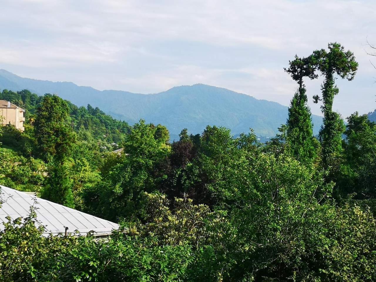 Olga'S Home บาทูมิ ภายนอก รูปภาพ